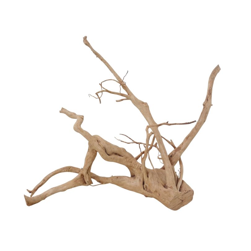 XXL Moorkienwurzel Nr.2559 Holz Deko Aquascaping