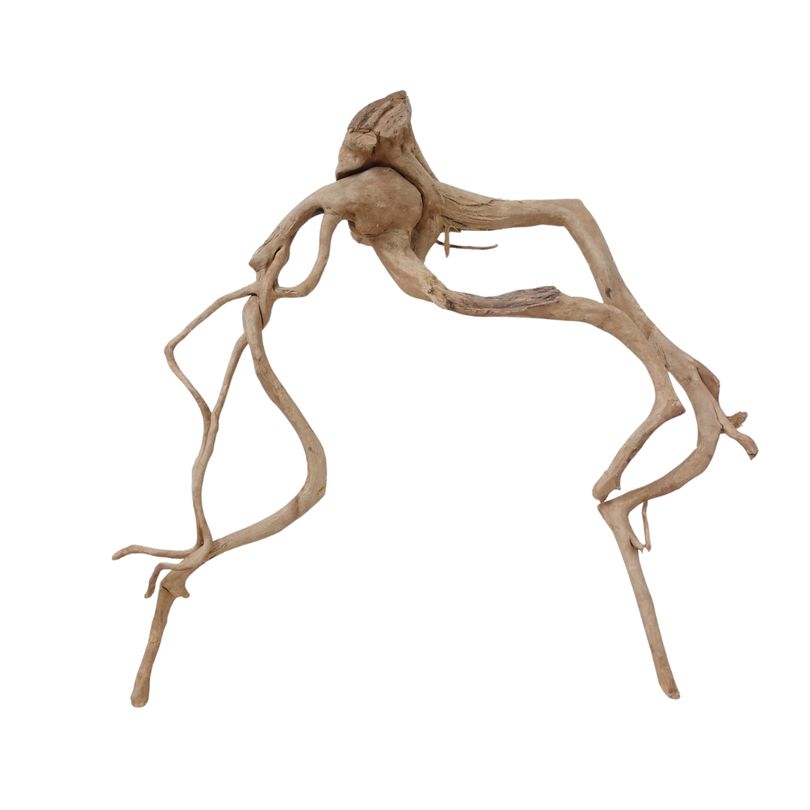 XXL Moorkienwurzel Nr.2560 Holz Deko Aquascaping