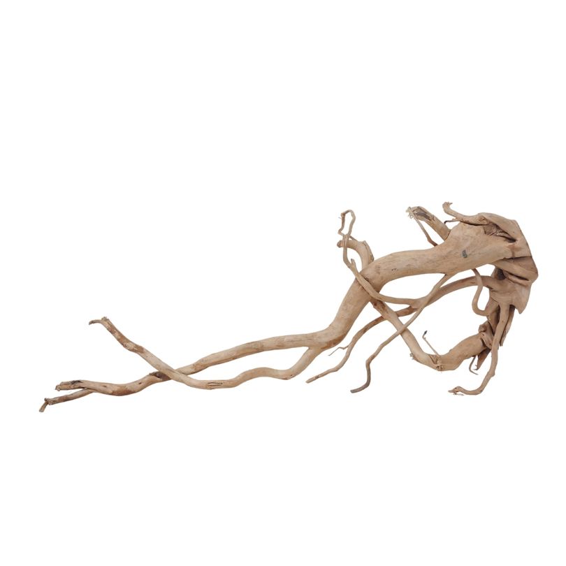 XXL Moorkienwurzel Nr.2561 Holz Deko Aquascaping