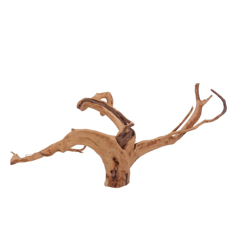 XL Moorkienwurzel Nr.2562 Fingerwurzel Echtholz Deko Aquascaping