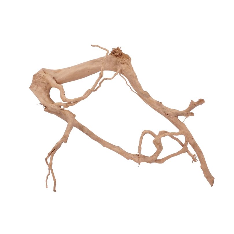 XL Moorkienwurzel Nr.2563 Fingerwurzel Echtholz Deko Aquascaping