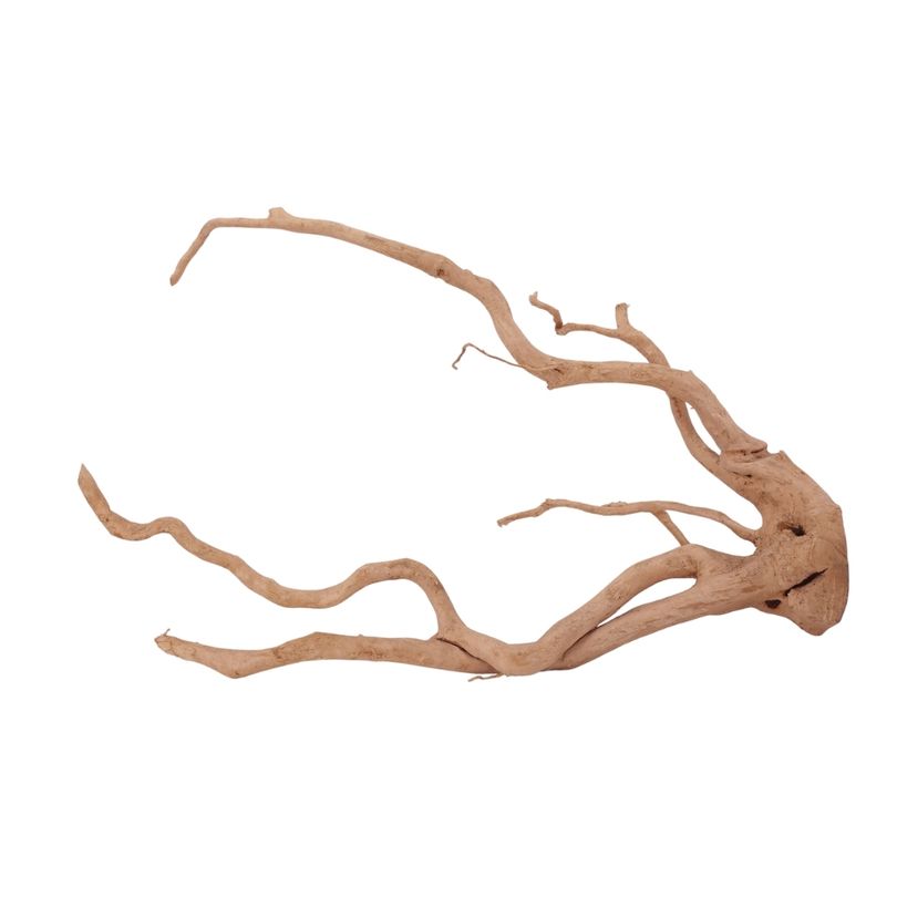 XL Moorkienwurzel Nr.2564 Fingerwurzel Echtholz Deko Aquascaping