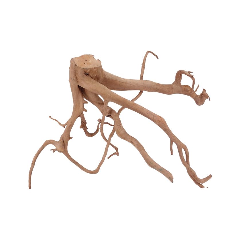 XL Moorkienwurzel Nr.2566 Fingerwurzel Echtholz Deko Aquascaping