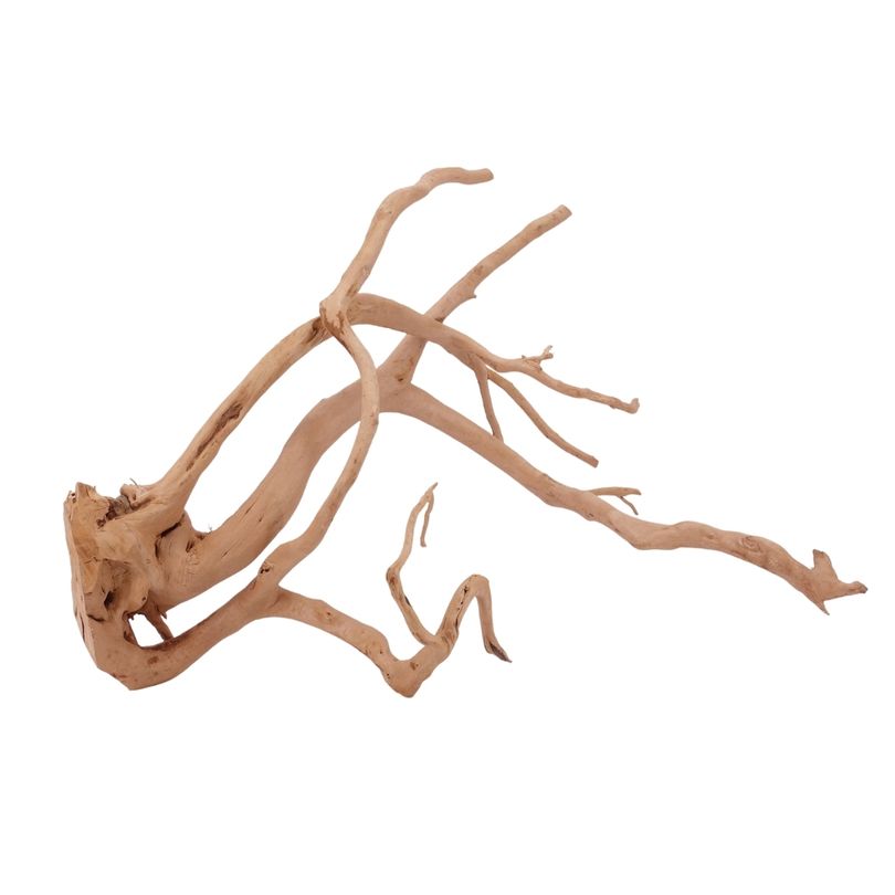 XL Moorkienwurzel Nr.2568 Fingerwurzel Echtholz Deko Aquascaping