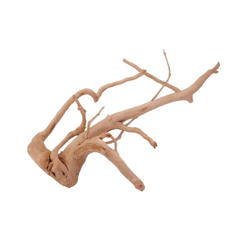 XL Moorkienwurzel Nr.2570 Fingerwurzel Echtholz Deko Aquascaping