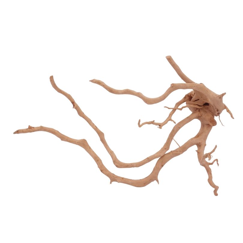 XL Moorkienwurzel Nr.2572 Fingerwurzel Echtholz Deko Aquascaping
