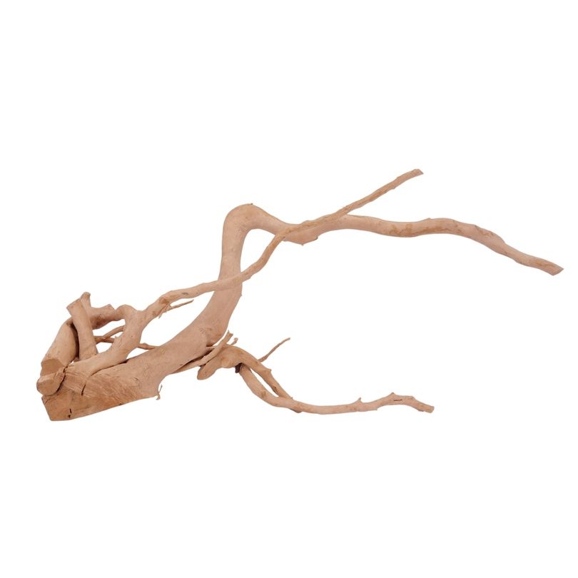 XL Moorkienwurzel Nr.2574 Fingerwurzel Echtholz Deko Aquascaping