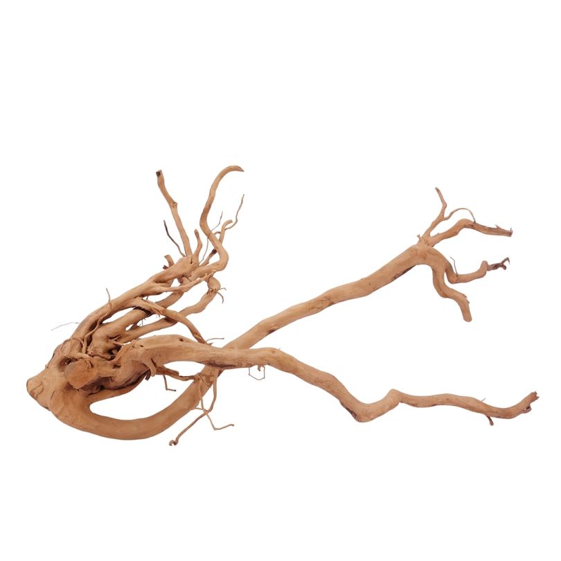 XL Moorkienwurzel Nr.2578 Fingerwurzel Echtholz Deko Aquascaping