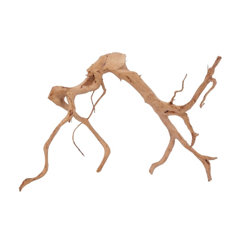 XL Moorkienwurzel Nr.2579 Fingerwurzel Echtholz Deko Aquascaping