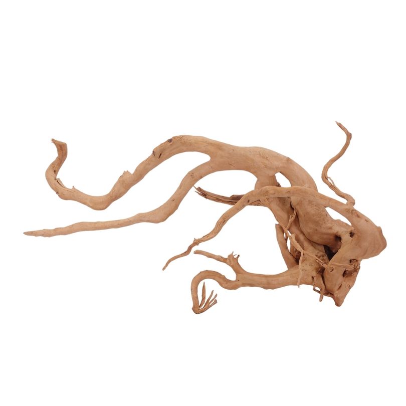 XL Moorkienwurzel Nr.2582 Fingerwurzel Echtholz Deko Aquascaping