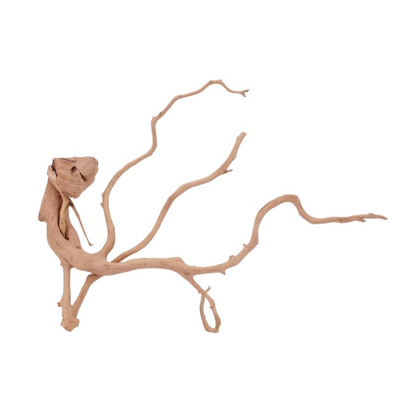 XL Moorkienwurzel Nr.2584 Fingerwurzel Echtholz Deko Aquascaping