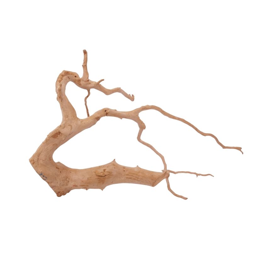 XL Moorkienwurzel Nr.2585 Fingerwurzel Echtholz Deko Aquascaping