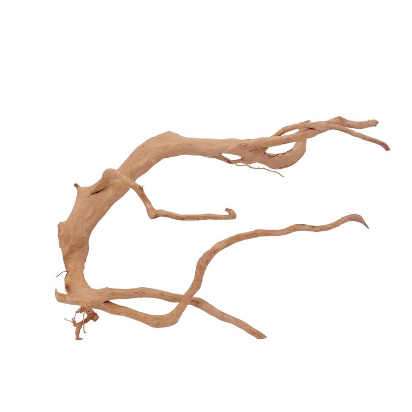 XL Moorkienwurzel Nr.2586 Fingerwurzel Echtholz Deko Aquascaping