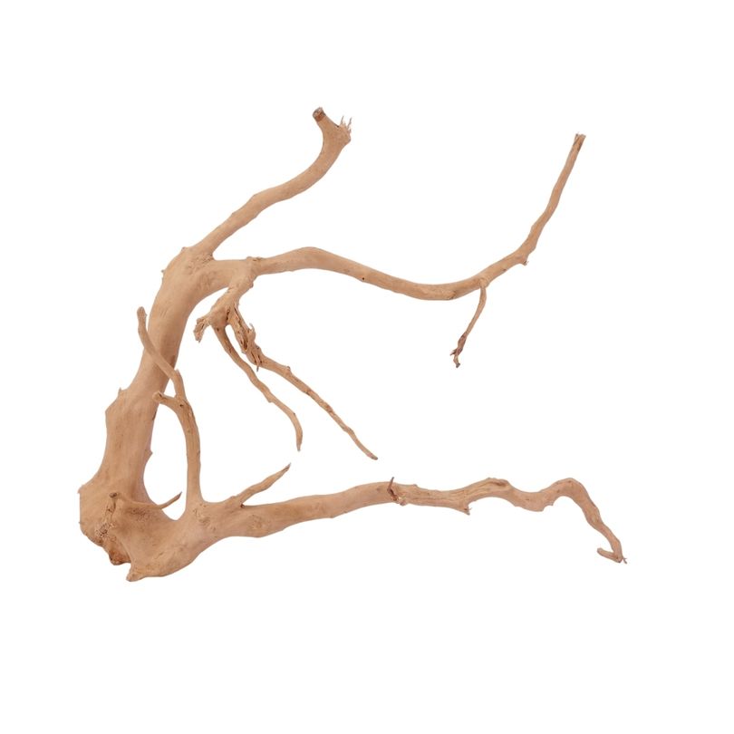 XL Moorkienwurzel Nr.2587 Fingerwurzel Echtholz Deko Aquascaping