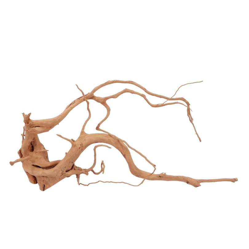 XL Moorkienwurzel Nr.2590 Fingerwurzel Echtholz Deko Aquascaping