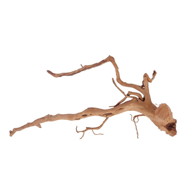 XL Moorkienwurzel Nr.2591 Fingerwurzel Echtholz Deko Aquascaping