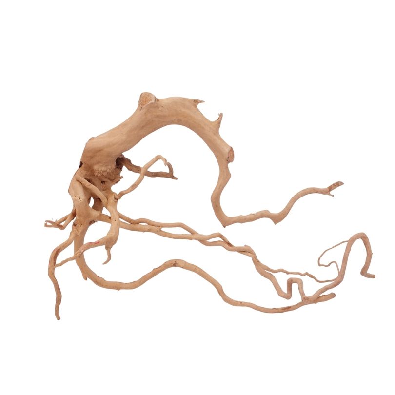 XL Moorkienwurzel Nr.2592 Fingerwurzel Echtholz Deko Aquascaping