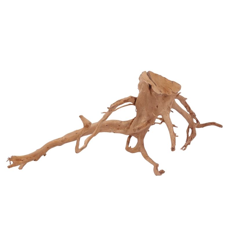 XL Moorkienwurzel Nr.2594 Fingerwurzel Echtholz Deko Aquascaping