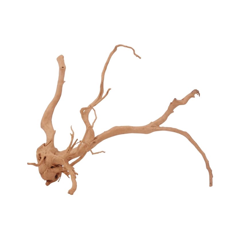 XL Moorkienwurzel Nr.2596 Fingerwurzel Echtholz Deko Aquascaping