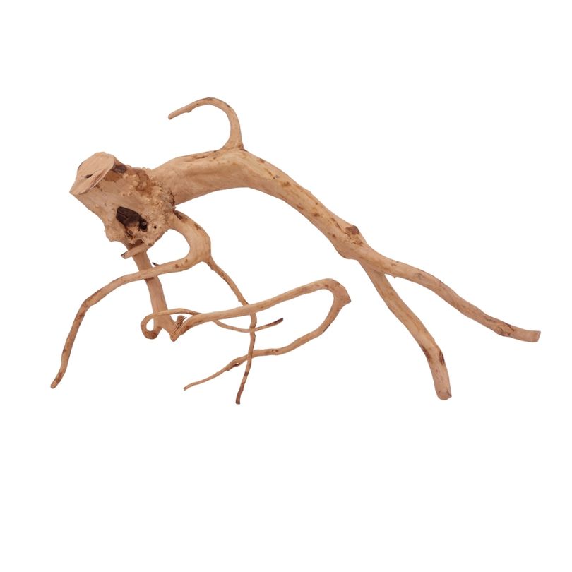 XL Moorkienwurzel Nr.2600 Fingerwurzel Echtholz Deko Aquascaping