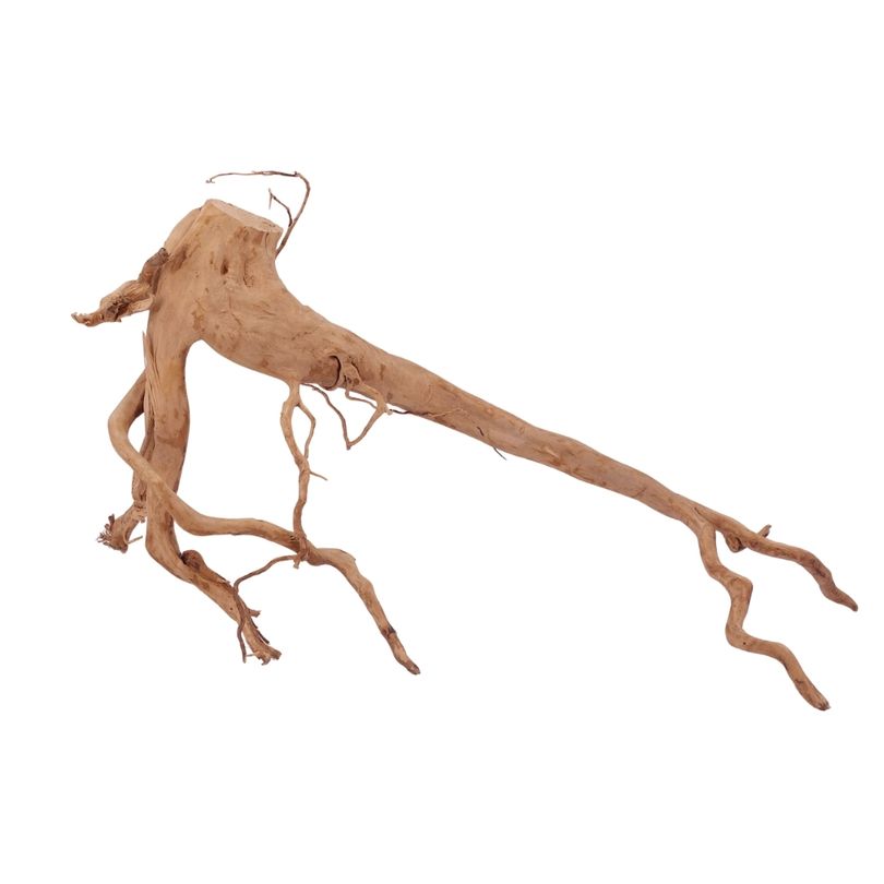 XL Moorkienwurzel Nr.2601 Fingerwurzel Echtholz Deko Aquascaping