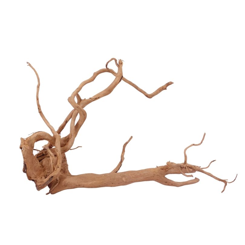 XL Moorkienwurzel Nr.2602 Fingerwurzel Echtholz Deko Aquascaping