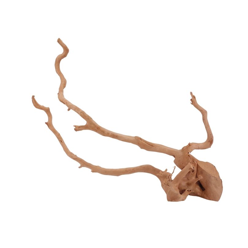 XL Moorkienwurzel Nr.2603 Fingerwurzel Echtholz Deko Aquascaping