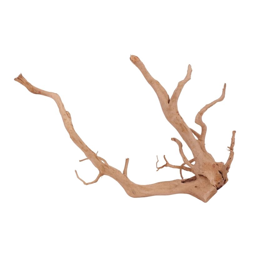 XL Moorkienwurzel Nr.2605 Fingerwurzel Echtholz Deko Aquascaping