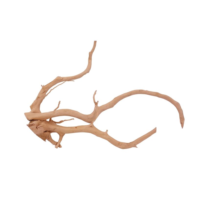 XL Moorkienwurzel Nr.2609 Fingerwurzel Echtholz Deko Aquascaping 