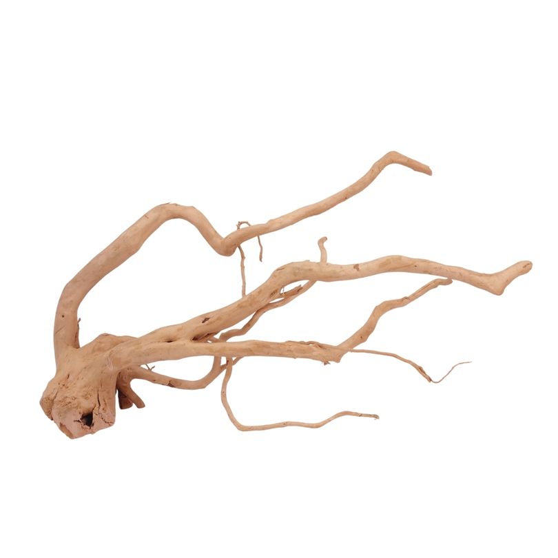 XL Moorkienwurzel Nr.2610 Fingerwurzel Echtholz Deko Aquascaping 