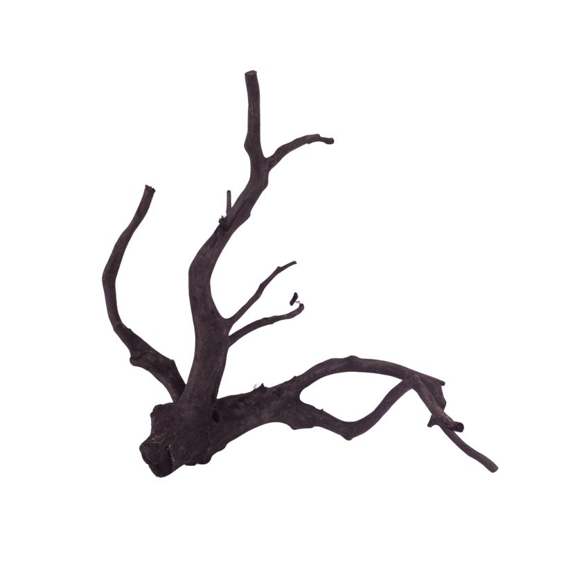 L Black Spider Wurzel  Nr.2612 Fingerwurzel Echtholz Deko Aquascaping 