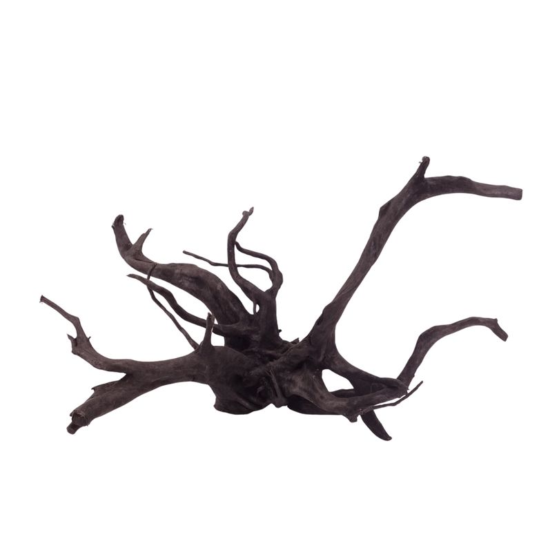 XL Black Spider Wurzel Nr.2658 Fingerwurzel Echtholz Deko Aquascaping 