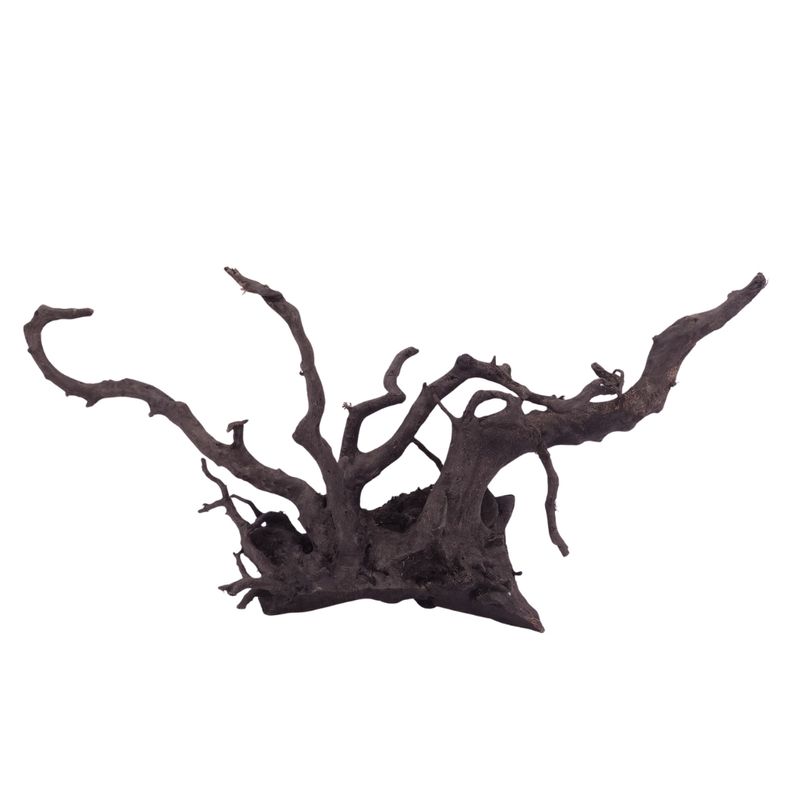 XL Black Spider Wurzel Nr.2664 Fingerwurzel Echtholz Deko Aquascaping 