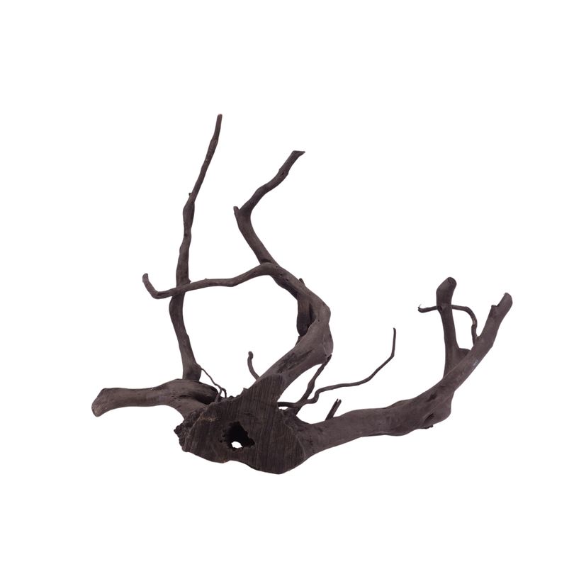 XL Black Spider Wurzel Nr.2665 Fingerwurzel Echtholz Deko Aquascaping 