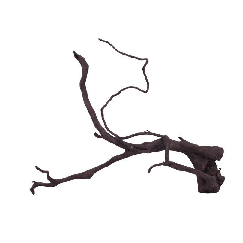 XL Black Spider Wurzel Nr.2670 Fingerwurzel Echtholz Deko Aquascaping 