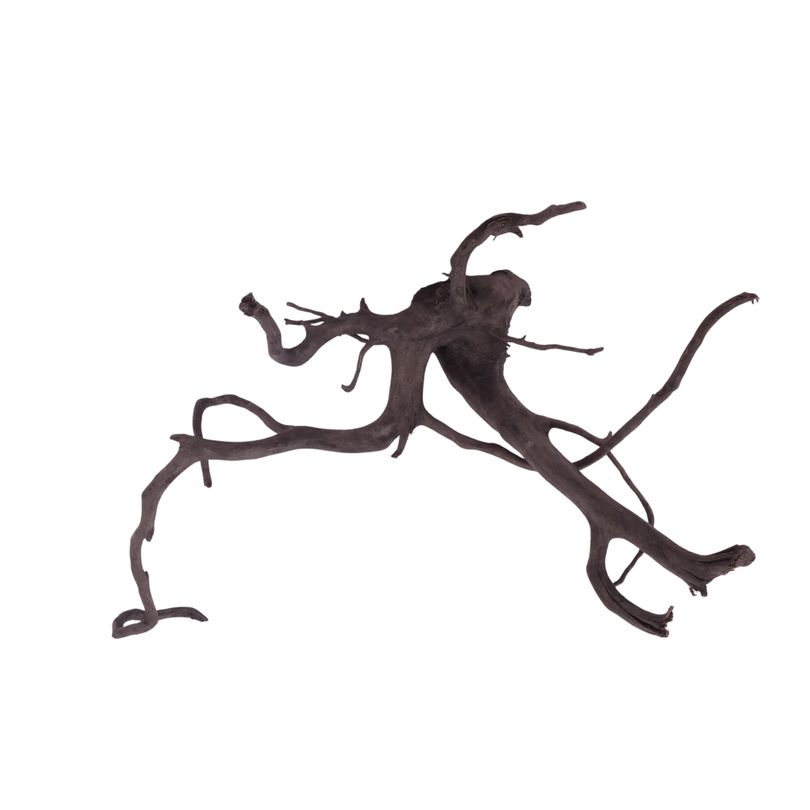 XL Black Spider Wurzel Nr.2675 Fingerwurzel Echtholz Deko Aquascaping 