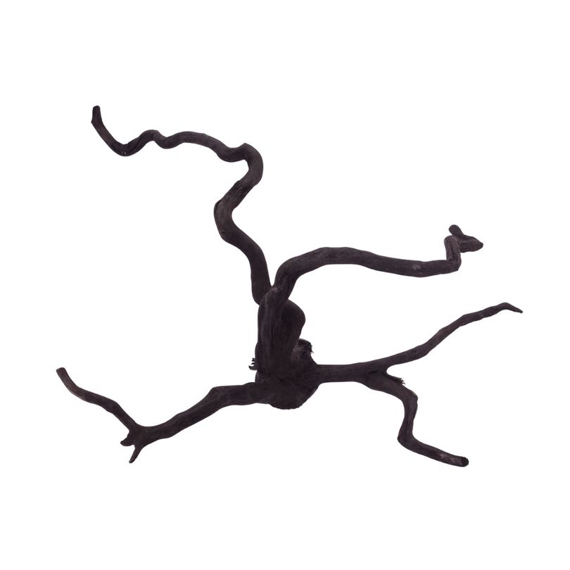 XL Black Spider Wurzel Nr.2676 Fingerwurzel Echtholz Deko Aquascaping 