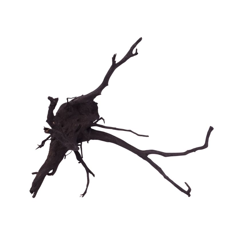 XL Black Spider Wurzel Nr.2677 Fingerwurzel Echtholz Deko Aquascaping 