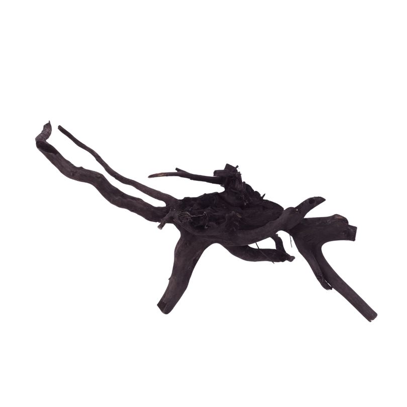 L Black Spider Wurzel  Nr.2613 Fingerwurzel Echtholz Deko Aquascaping 