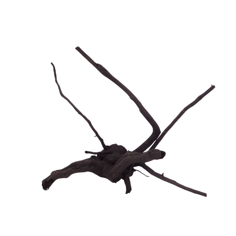 L Black Spider Wurzel  Nr.2615 Fingerwurzel Echtholz Deko Aquascaping 