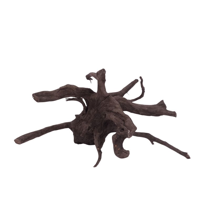 L Black Spider Wurzel  Nr.2616 Fingerwurzel Echtholz Deko Aquascaping 