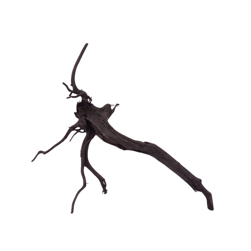 L Black Spider Wurzel  Nr.2618 Fingerwurzel Echtholz Deko Aquascaping 