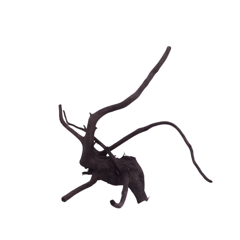 L Black Spider Wurzel  Nr.2619 Fingerwurzel Echtholz Deko Aquascaping 