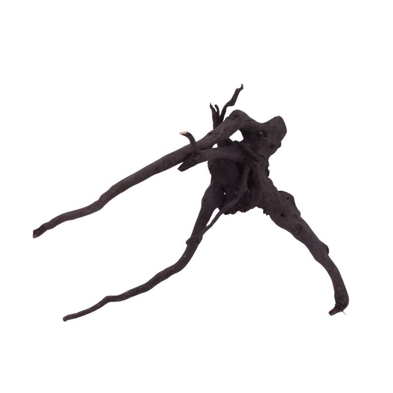 L Black Spider Wurzel  Nr.2620 Fingerwurzel Echtholz Deko Aquascaping 