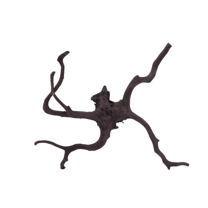 L Black Spider Wurzel  Nr.2621 Fingerwurzel Echtholz Deko Aquascaping 