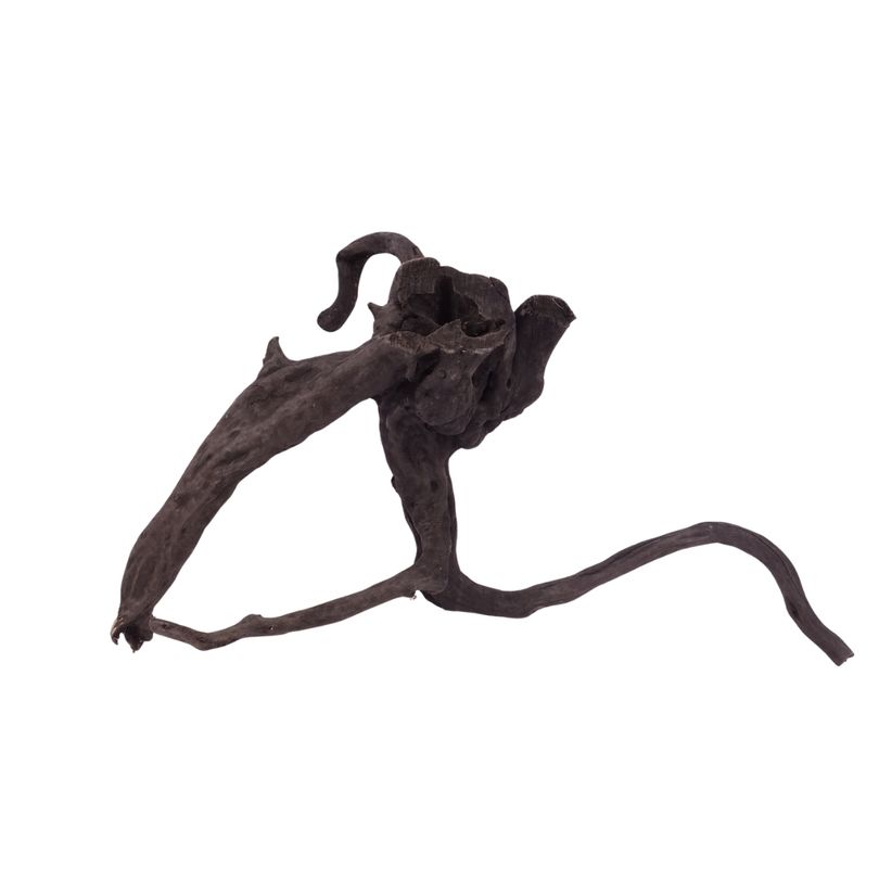 L Black Spider Wurzel  Nr.2622 Fingerwurzel Echtholz Deko Aquascaping 