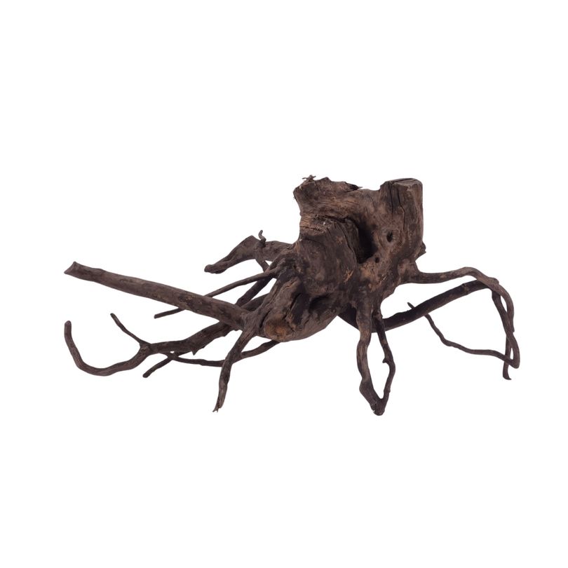 L Black Spider Wurzel  Nr.2623 Fingerwurzel Echtholz Deko Aquascaping 