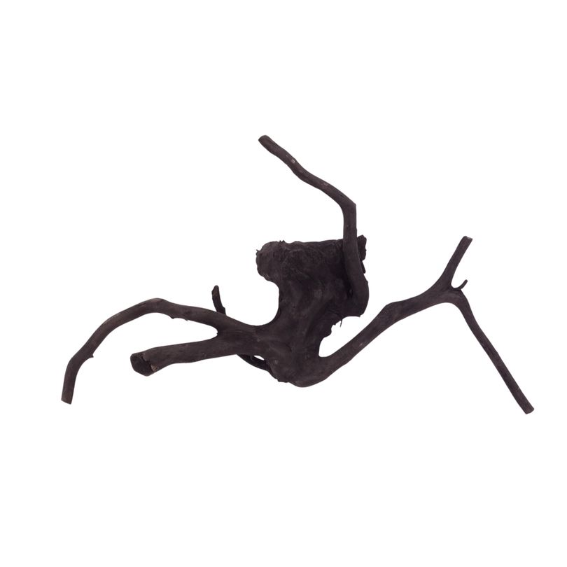 L Black Spider Wurzel  Nr.2624 Fingerwurzel Echtholz Deko Aquascaping 