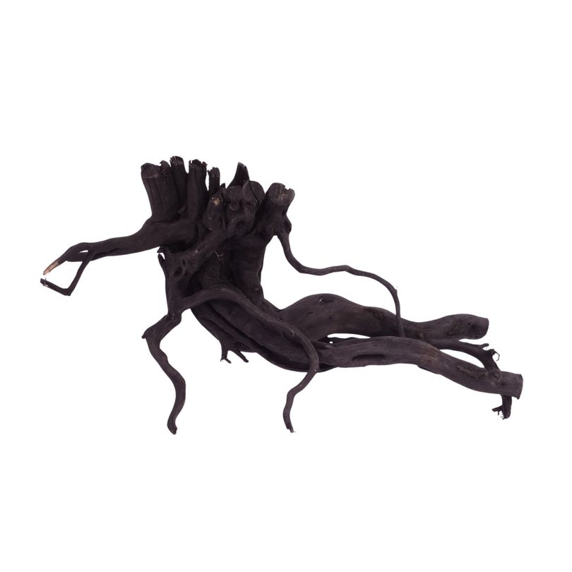 L Black Spider Wurzel  Nr.2626 Fingerwurzel Echtholz Deko Aquascaping 