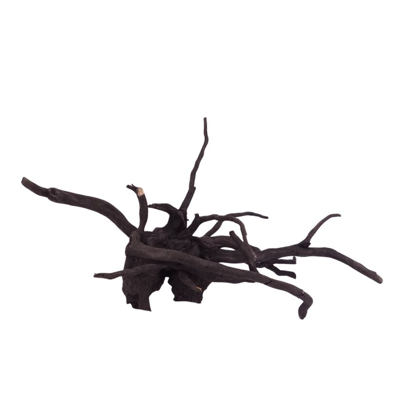 L Black Spider Wurzel  Nr.2627 Fingerwurzel Echtholz Deko Aquascaping 
